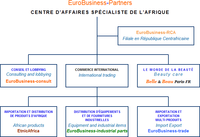 Organigramme